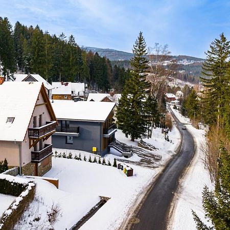 Wonder Home - Villa Vika Z Ogrodem, Z Miejscem Na Grilla I Ognisko Karpacz Kültér fotó